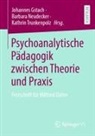 Johannes Gstach, Barbara Neudecker, Kathrin Trunkenpolz - Psychoanalytische Pädagogik zwischen Theorie und Praxis