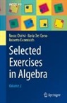 Rocco Chirivì, Ilaria Del Corso, Rober Dvornicich, Roberto Dvornicich - Selected Exercises in Algebra