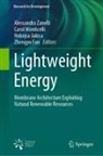 Zhengyu Fan, Nebojsa Jakica, Nebojsa Jakica et al, Carol Monticelli, Alessandra Zanelli - Lightweight Energy