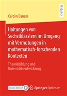 Carolin Danzer - Haltungen von Sechstklässlern im Umgang mit Vermutungen in mathematisch-forschenden Kontexten