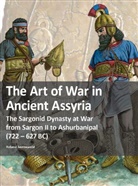 Roland Sennewald, Stefano Borin - The Art of War in Ancient Assyria