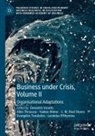 Leonidas Efthymiou, S. M. Riad Shams, Alkis Thrassou, Evangelos Tsoukatos, Demetris Vrontis, Yaakov Weber... - Business Under Crisis, Volume II