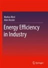 Markus Blesl, Alois Kessler - Energy Efficiency in Industry