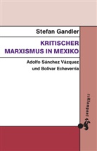 Stefan Gandler - Kritischer Marxismus in Mexiko