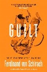 Ferdinand von Schirach, Ferdinand Von Schirach - Guilt