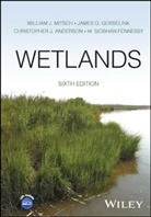 C. et al Anderson, Chr Anderson, Christopher J Anderson, Christopher J. Anderson, M. Siobhan Fennessy, Siobhan Fennessy... - Wetlands