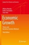 Esther Fernández, Alfonso Novales, Jesús Ruiz - Economic Growth