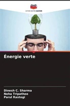 Parul Rastogi, Dinesh C. Sharma, Neha Tripathee - Énergie verte