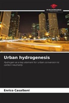 Enrico Casalboni - Urban hydrogenesis
