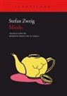Roberto Bravo De La Varga, Stefan Zweig - Miedo