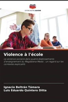 Ignacio Beltrán Támara, Luis Eduardo Quintero Ditta - Violence à l'école