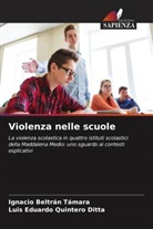 Ignacio Beltrán Támara, Luis Eduardo Quintero Ditta - Violenza nelle scuole