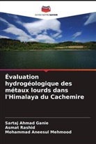Sartaj Ahmad Ganie, Mohammad Aneesul Mehmood, Asmat Rashid - Évaluation hydrogéologique des métaux lourds dans l'Himalaya du Cachemire