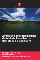 Sartaj Ahmad Ganie, Mohammad Aneesul Mehmood, Asmat Rashid - Avaliação Hidrogeológica de Metais Pesados no Himalaia de Caxemira