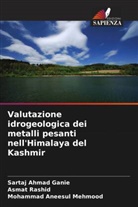Sartaj Ahmad Ganie, Mohammad Aneesul Mehmood, Asmat Rashid - Valutazione idrogeologica dei metalli pesanti nell'Himalaya del Kashmir