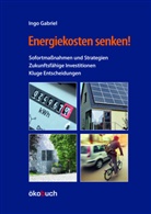 Ingo Gabriel - Energiekosten senken!
