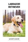Levente Szabó - Labrador Retriever