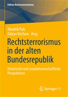 Hendrik Puls, Virchow, Fabian Virchow - Rechtsterrorismus in der alten Bundesrepublik