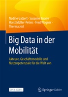 Nadine Gatzert, Theresa Jost, Susanne Knorre, Hor Müller-Peters, Horst Müller-Peters, Fred Wagner - Big Data in der Mobilität