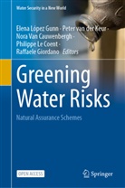 Nora van Cauwenbergh, Raffaele Giordano, Peter van der Keur, Philippe Le Coent, Elena López-Gunn, Nora Van Cauwenbergh... - Greening Water Risks