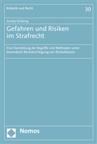 Annika Schömig - Gefahren und Risiken im Strafrecht