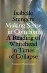Isabelle Stengers - Making Sense in Common