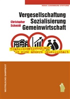 Christopher Schmidt - Vergesellschaftung, Sozialisierung, Gemeinwirtschaft