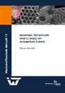 Sharon Krenkel - Anisotrope; hierarchische Strukturierung von nanoporösen Gläsern