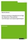Mareike Schweizer - Bodenversalzung in Bangladesch in Folge der Klimakrise. Hintergründe, Auswirkungen und Anpassungsstrategien