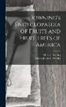 Andrew Jackson Downing, Charles Downing - Downing's Encyclopaedia of Fruits and Fruit Trees of America