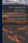 Alexander Edwin Sweet - On a Mexican Mustang, Through Texas, From the Gulf to the Rio Grande