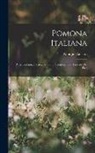 Giorgio Gallesio - Pomona Italiana: Parte Scientifica, Fascicolo Primo, Contenente Il Trattato Del Fico