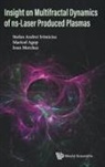 Maricel Agop, Agop Maricel, Ioan Merches, Stefan Andrei Irimiciuc, Maricel Agop, Ioan Merches... - Insight On Multifractal Dynamics Of Ns-laser Produced Plasmas