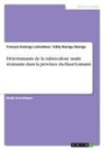 François Kalenga Luhembwe, Eddy Nzengu Nzengu - Déterminants de la tuberculose multi résistante dans la province du Haut-Lomami