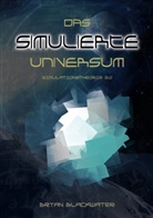 Bryan Blackwater - Das Simulierte Universum