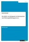 Kathi Bellstedt - Die Rolle von Instagram im Informations- und Meinungsbildungsprozess
