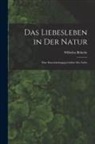 Wilhelm Bölsche - Das Liebesleben in der Natur: Eine Entwickelungsgeschichte der Liebe