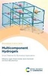 Jagan Mohan (University of West Bohemia Dodda, Prof. Jagan Mohan (University of West Bohem Dodda, Deon Bezuidenhout, Deon (University of Cape Town Bezuidenhout, Prof. Deon (University of Cape Town Bezuidenhout, Kalim Deshmukh... - Multicomponent Hydrogels