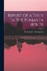 Alexander Cunningham - Report Of A Tour In The Punjab In 1878-79