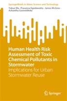 Prasanna Egodawatta, Ashantha Goonetilleke, Yukun Ma, James Mcgree, James et al McGree - Human Health Risk Assessment of Toxic Chemical Pollutants in Stormwater