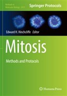 Edward H Hinchcliffe, Edward H. Hinchcliffe - Mitosis