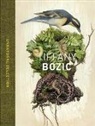 Tiffany Bozic, Nickole Brown, Mary Ellen Hannibal - Unnatural Selections