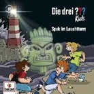 Ulf Blanck - Spuk im Leuchtturm (Hörbuch)