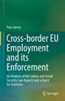 Yves Jorens - Cross-border EU Employment and its Enforcement