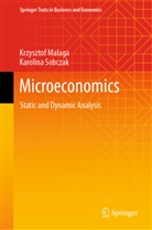 Krzysztof Malaga, Karolina Sobczak - Microeconomics
