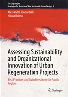 Nicola Raimo, Alessandra Ricciardelli - Assessing Sustainability and Organizational Innovation of Urban Regeneration Projects