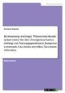 Carmen Hassler - Bestimmung wichtiger Pflanzenmerkmale (plant traits) für drei Zwergstraucharten entlang von Nutzungsgradienten. Juniperus communis, Vaccinium myrtillus, Vaccinium vitis-idaea