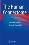 Kostas N Fountoulakis, Kostas N. Fountoulakis - The Human Connectome
