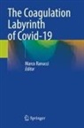 Marco Ranucci - The Coagulation Labyrinth of Covid-19