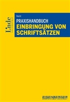 Isabella Reicht - Praxishandbuch Einbringung von Schriftsätzen